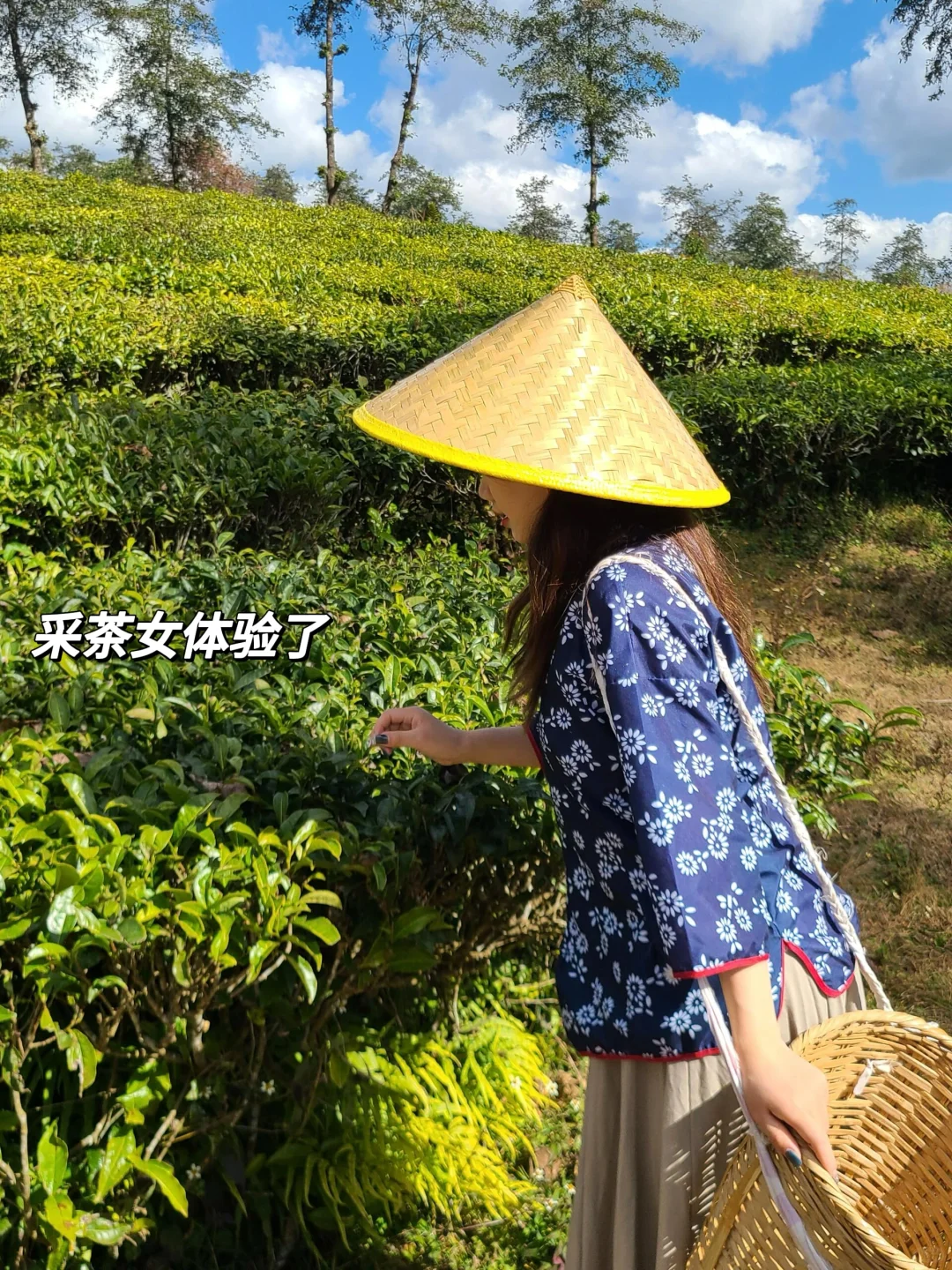 11-12月一定要里腾冲!!国内最大银杏古村🥹