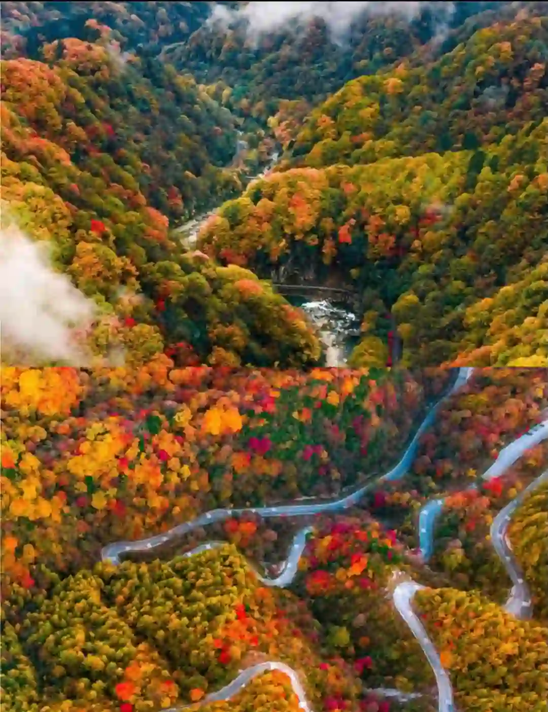 我宣布🍂这里才是秋天美景的天花板！！