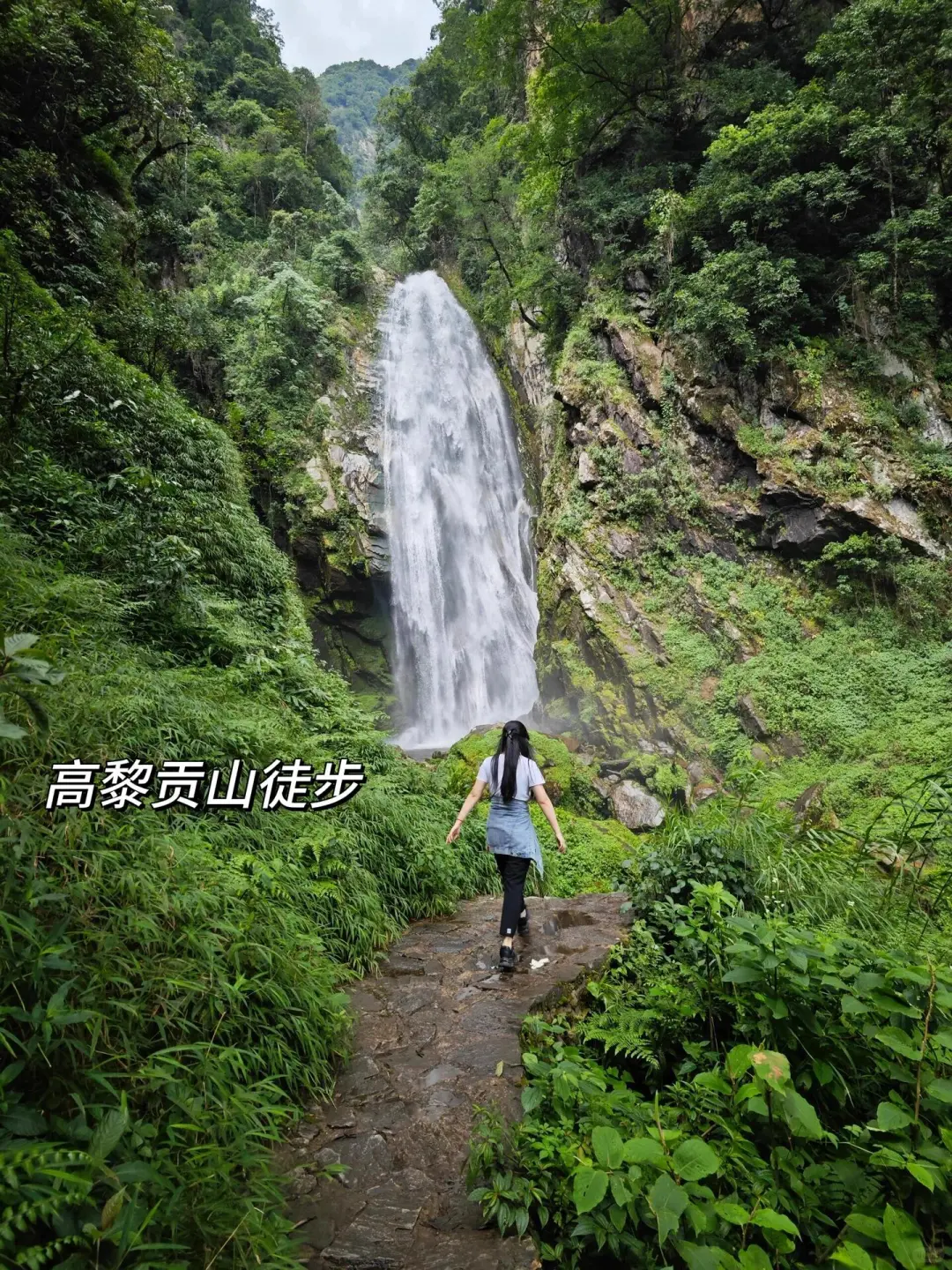 11-12月一定要里腾冲!!国内最大银杏古村🥹