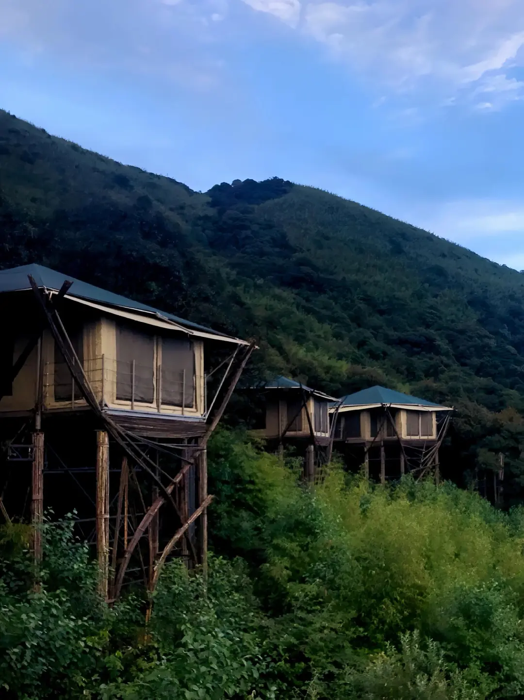 11-12月一定要里腾冲!!国内最大银杏古村🥹