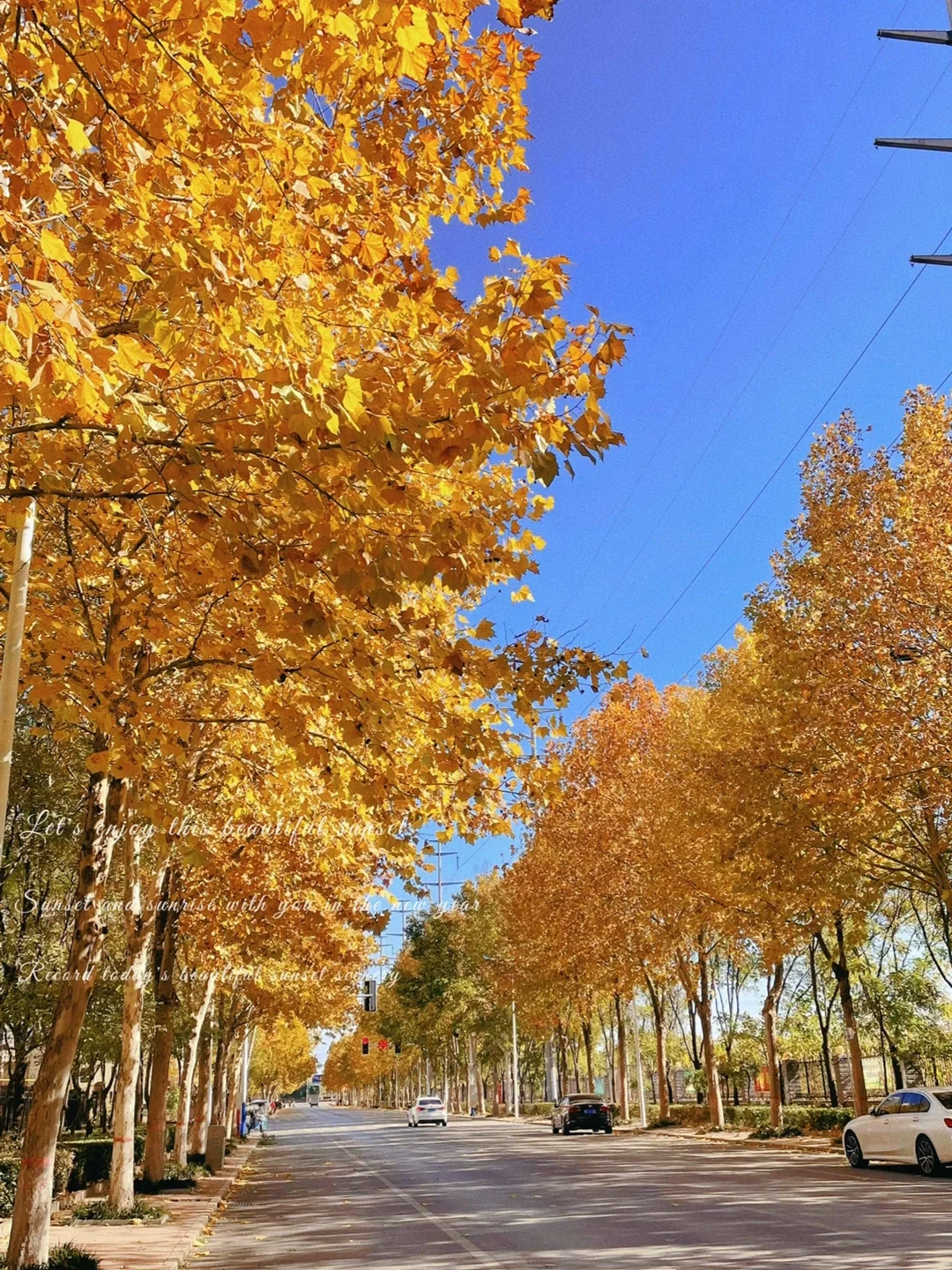 秋日浓度播报|邢台赏秋绝美地点大公开!