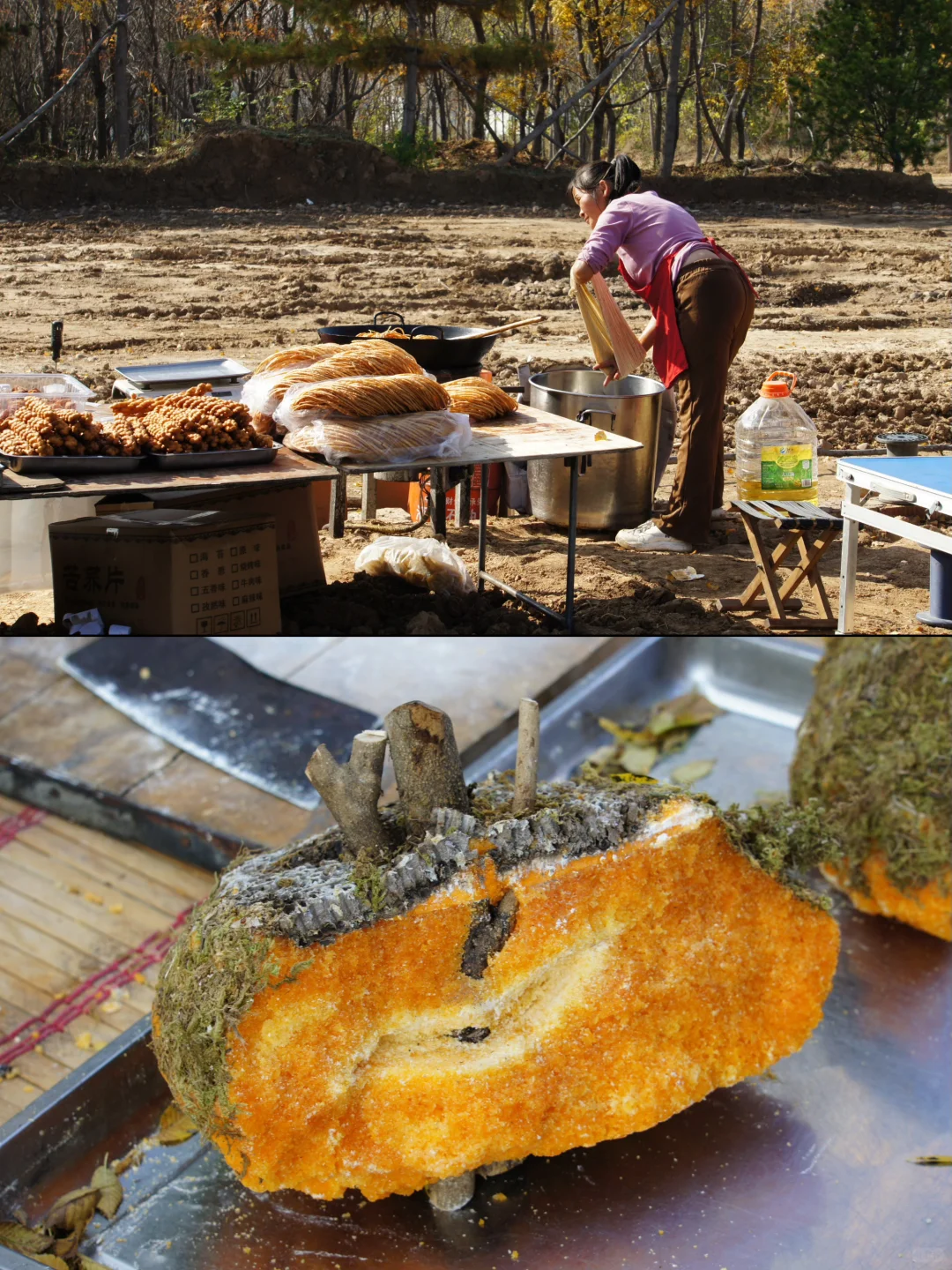 栾卸银杏林11.2实况|最是一年秋好处