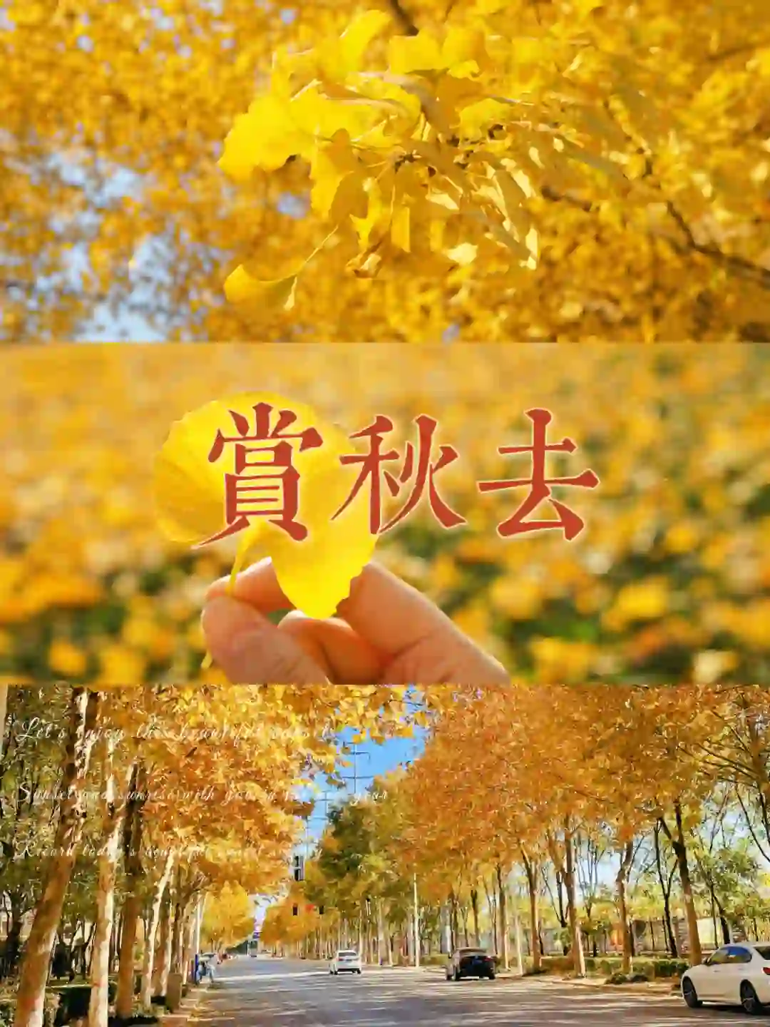 秋日浓度播报|邢台赏秋绝美地点大公开!