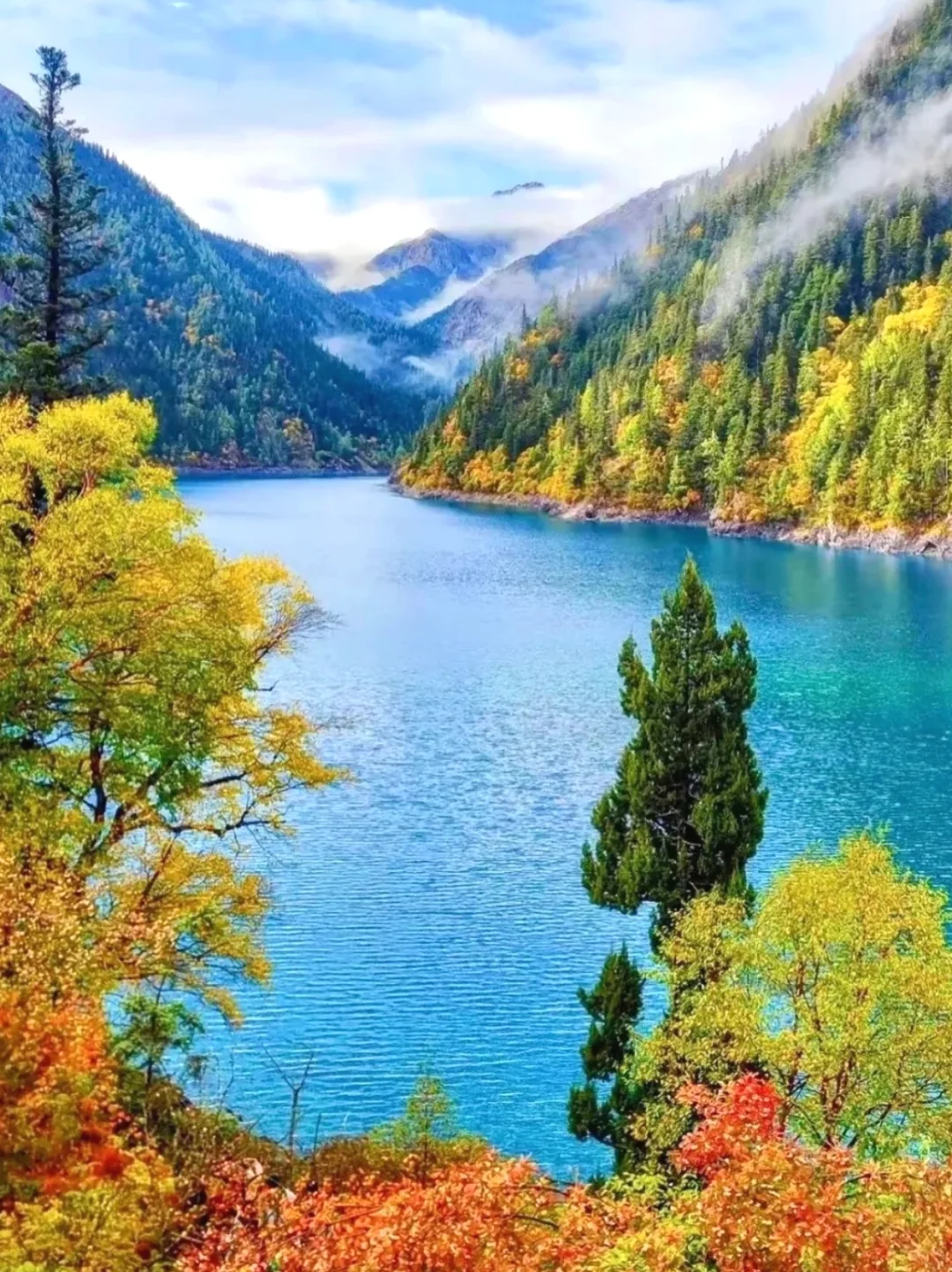 11.2📍九寨沟已回🔥彩林已到巅峰,附攻略