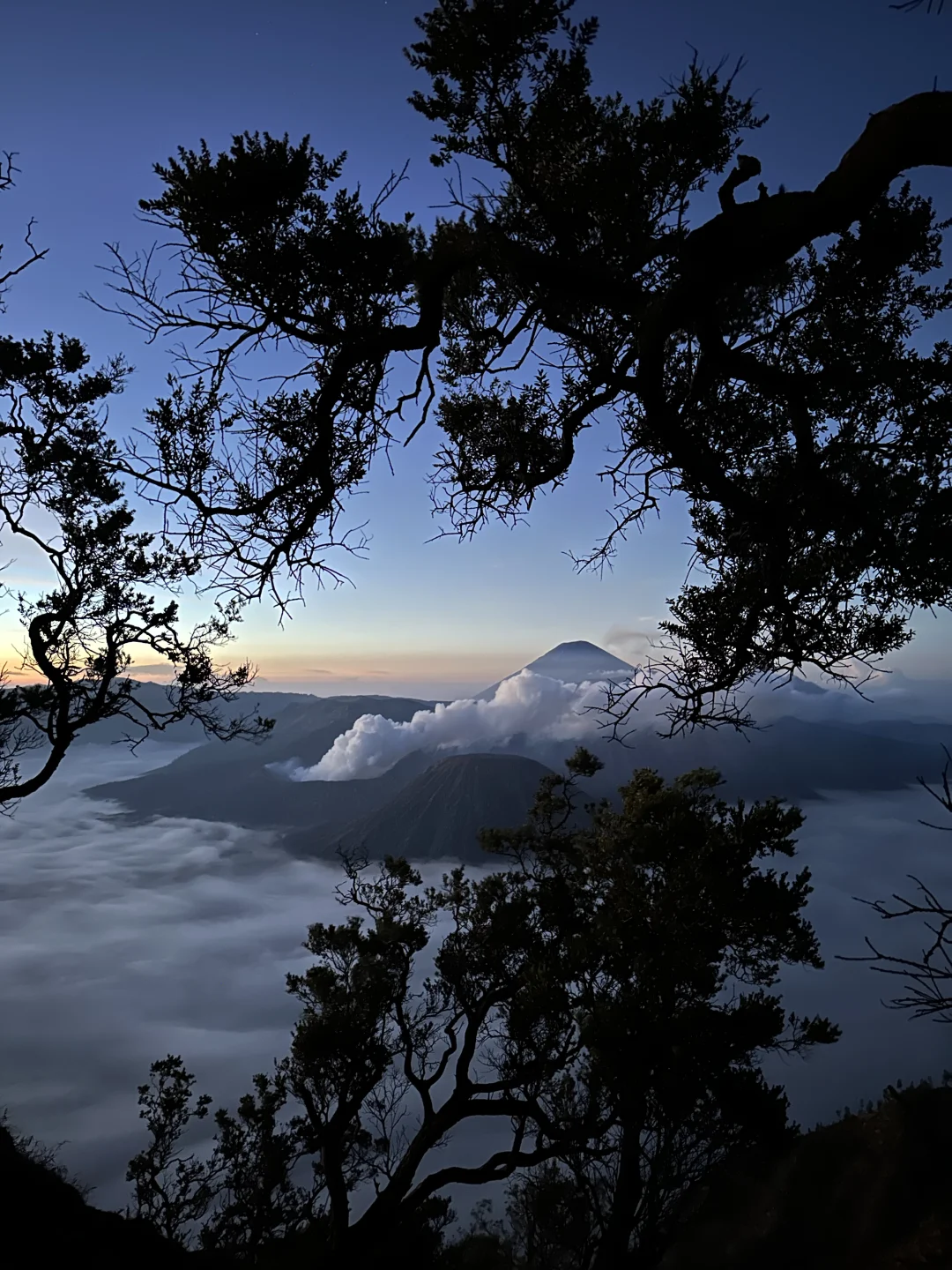 百万小眼睛的照片🌋