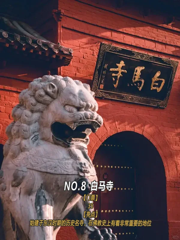 洛阳必去9大景点💡旅游前必看❗