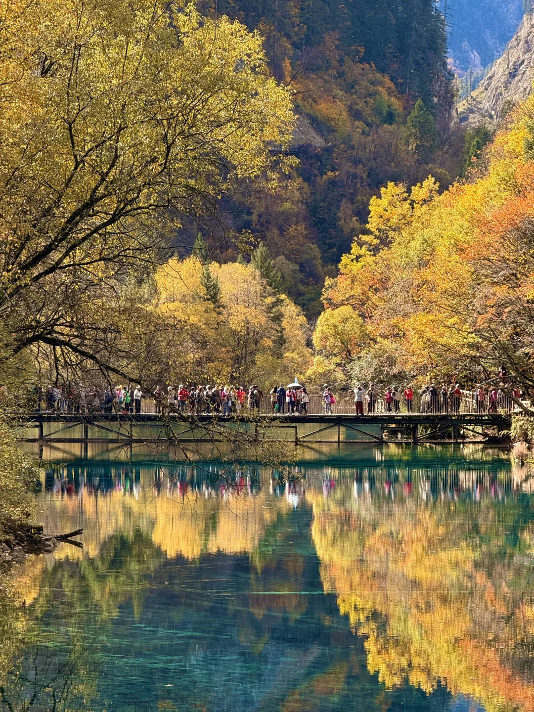 秋天的九寨沟,我想说一万句“ 值得!”