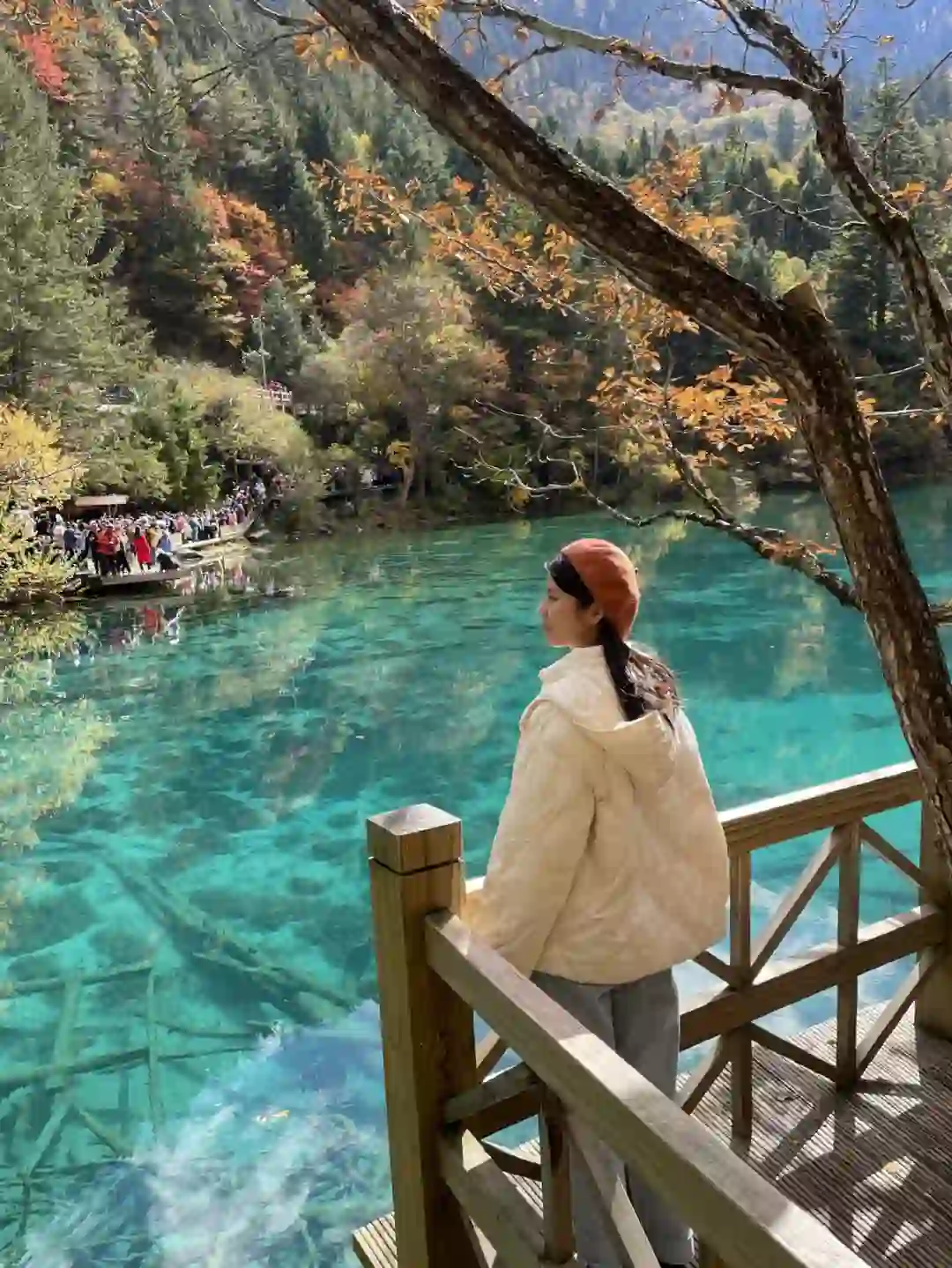 11.3九寨沟已回，看彩林的姐妹来听劝