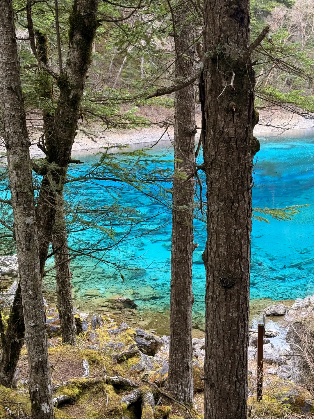 秋天的九寨沟,我想说一万句“ 值得!”