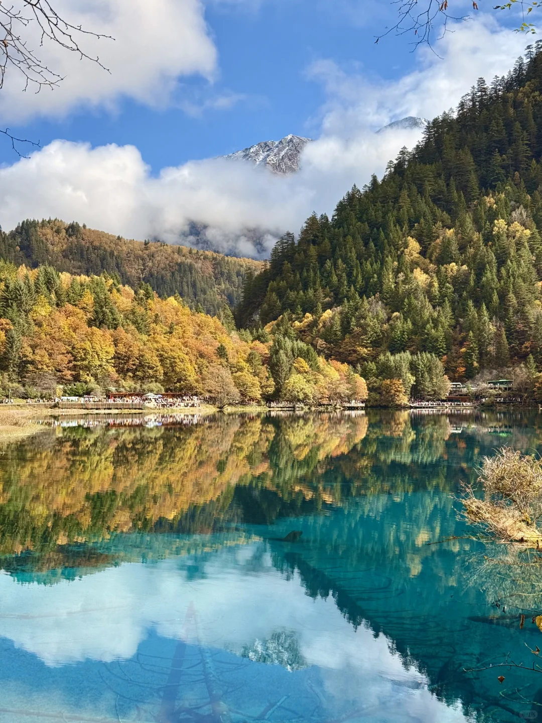 秋天的九寨沟,我想说一万句“ 值得!”