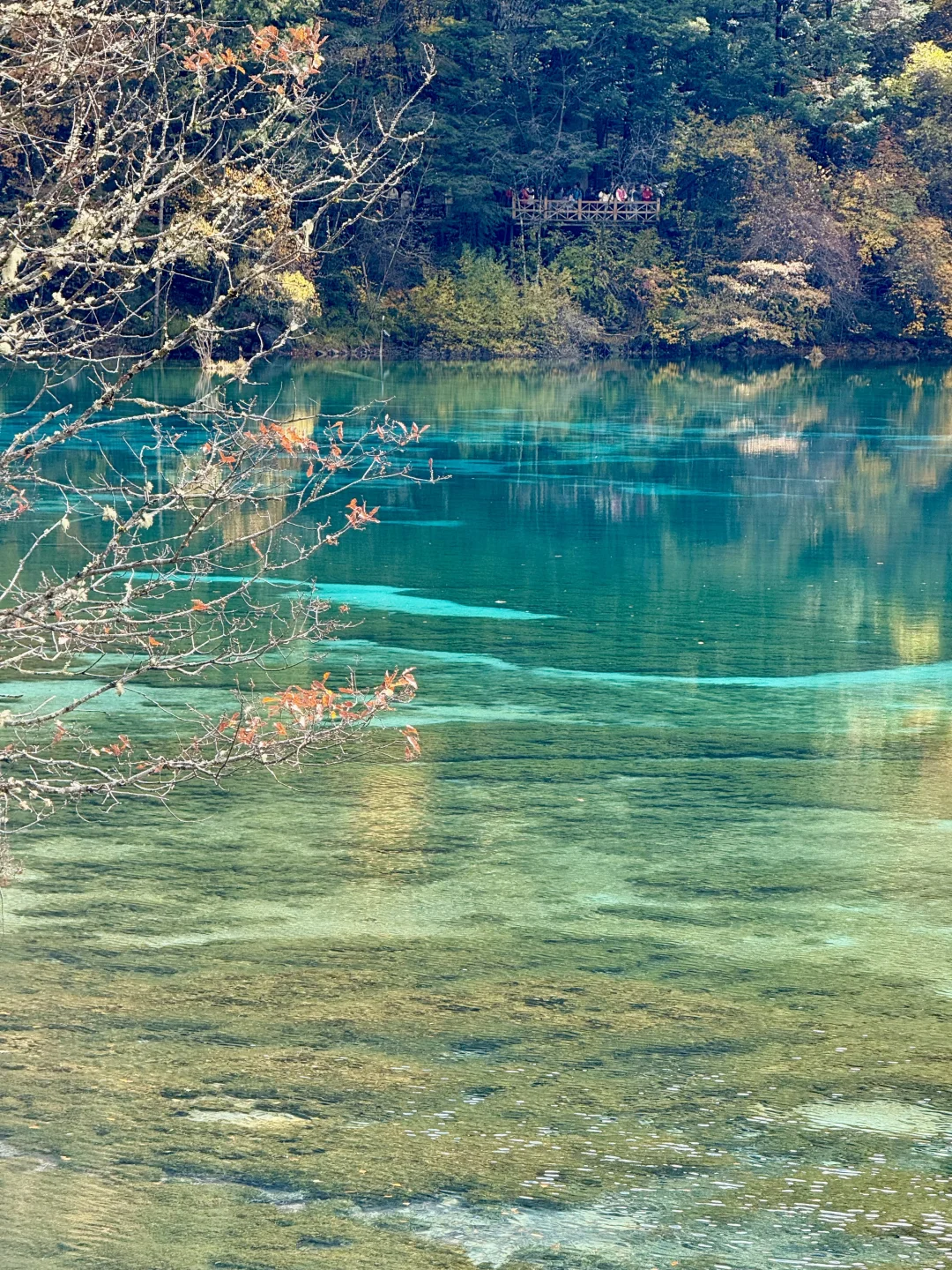 秋天的九寨沟,我想说一万句“ 值得!”