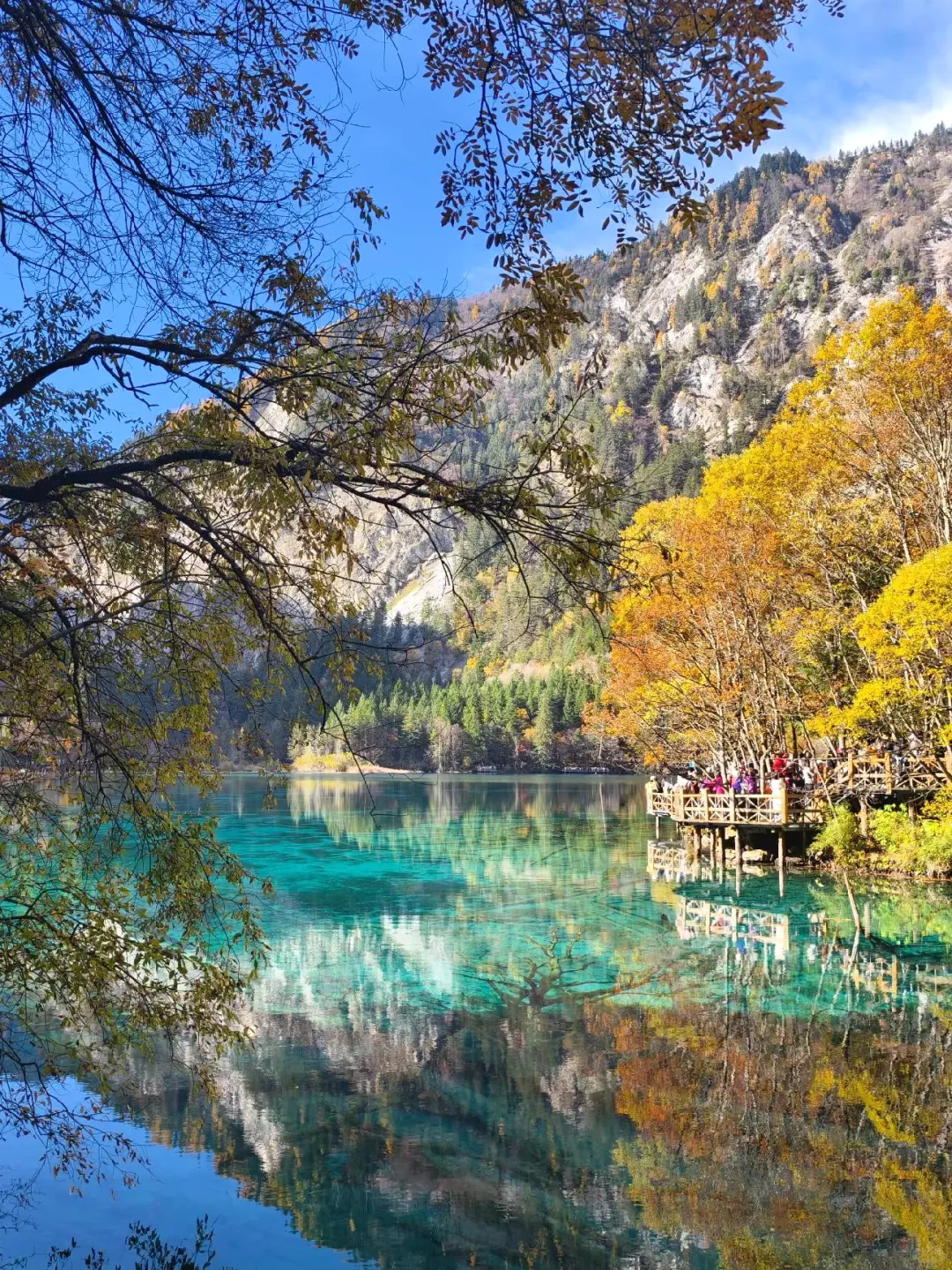 11.3九寨沟已回，看彩林的姐妹来听劝