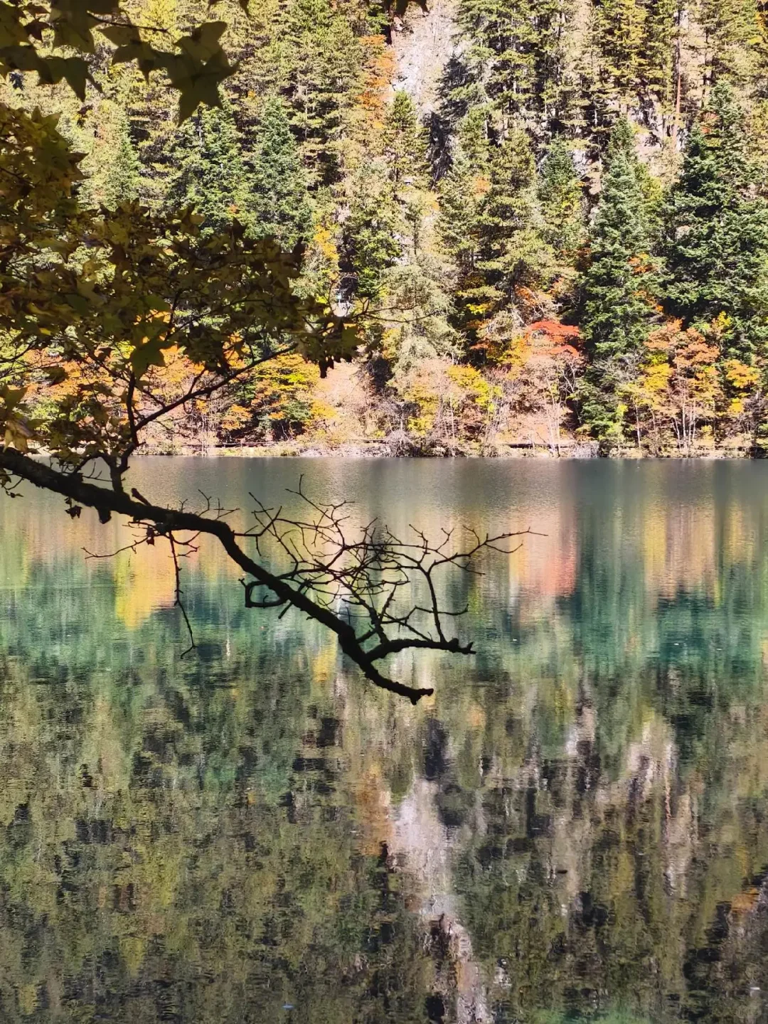 11.3九寨沟已回，看彩林的姐妹来听劝