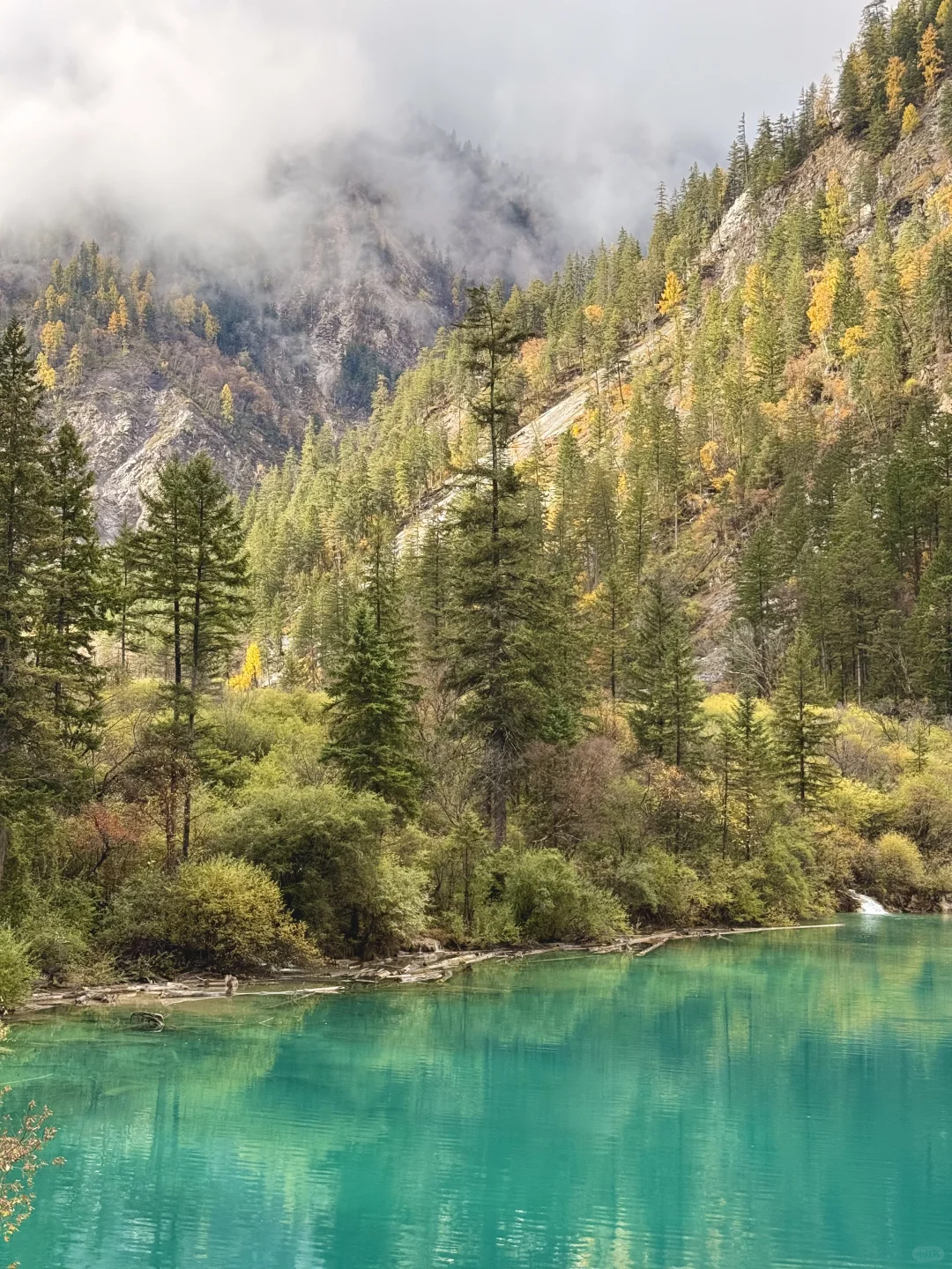 秋天的九寨沟,我想说一万句“ 值得!”