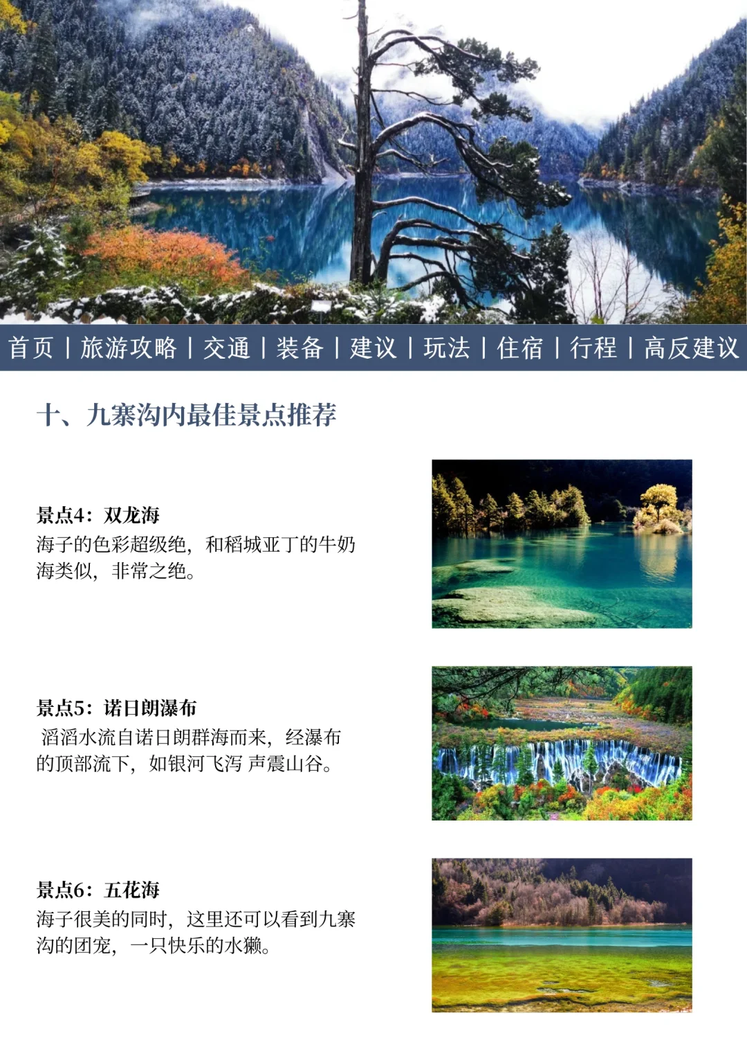 九寨沟淡季最新通知📖很难找全姐妹们快马住