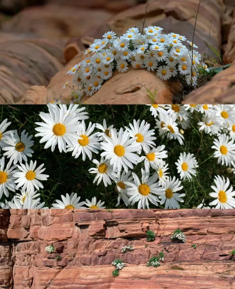 一座来了还想来的景区—河北东太行🌤