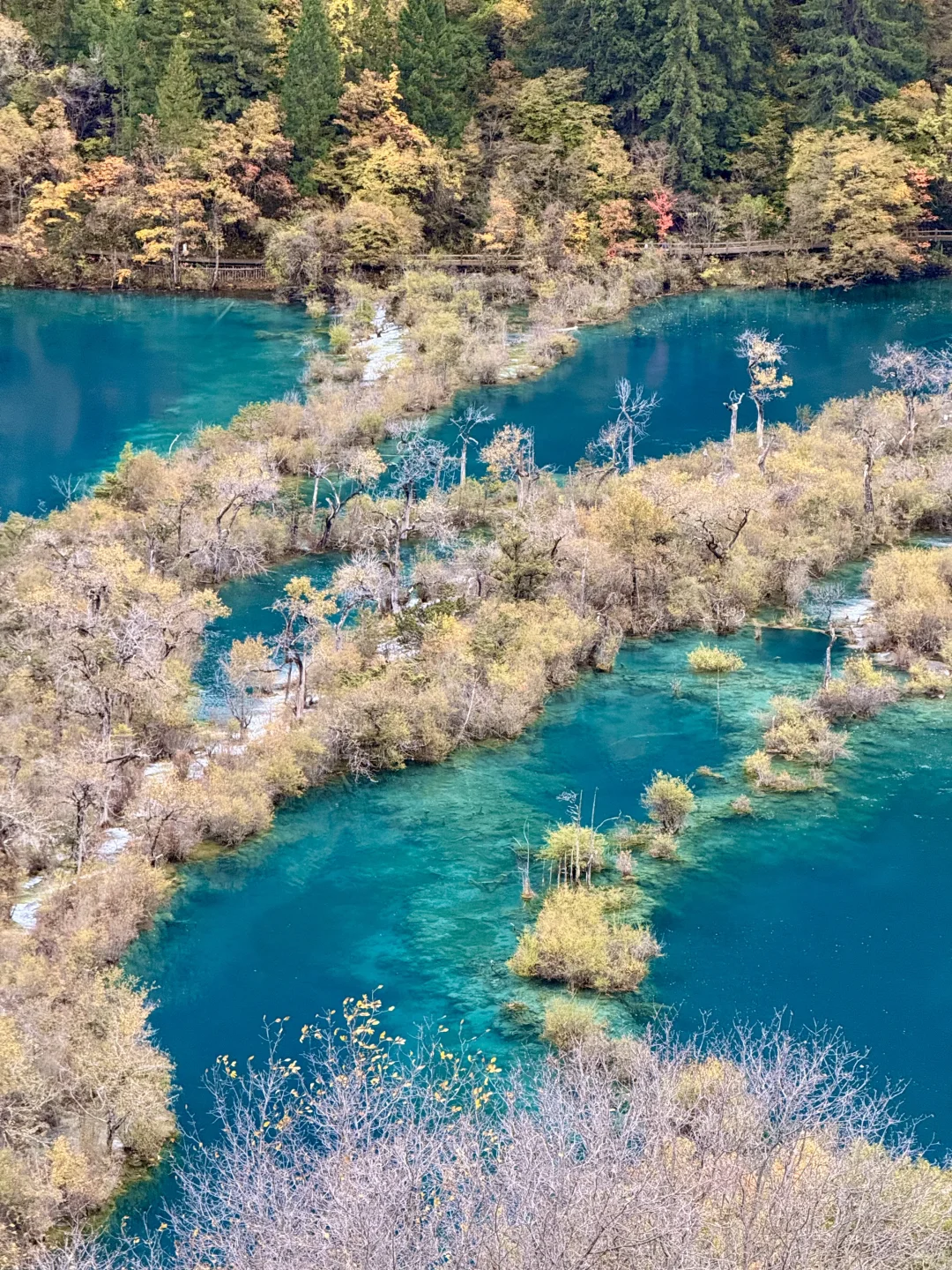 秋天的九寨沟,我想说一万句“ 值得!”