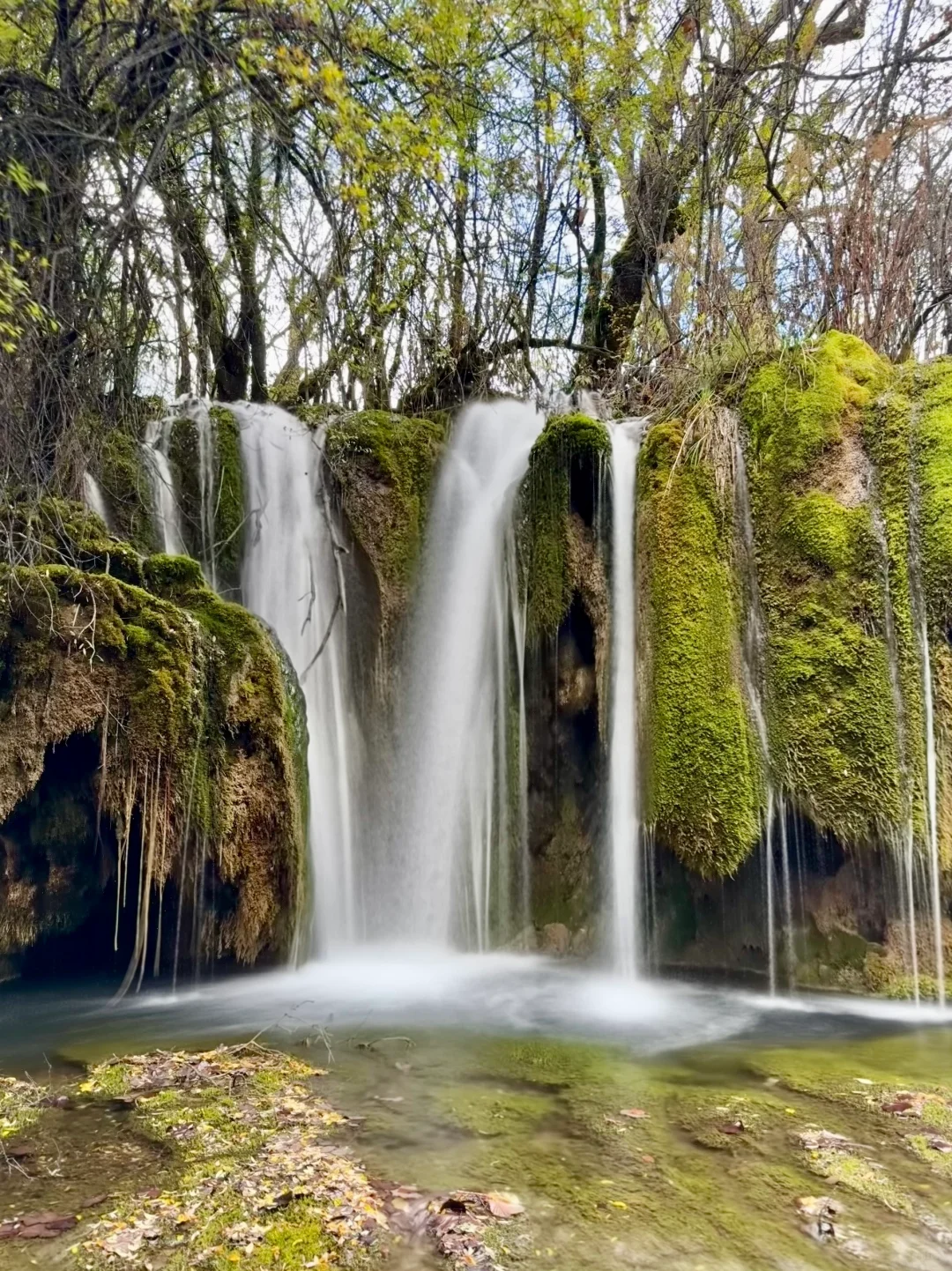 秋天的九寨沟,我想说一万句“ 值得!”