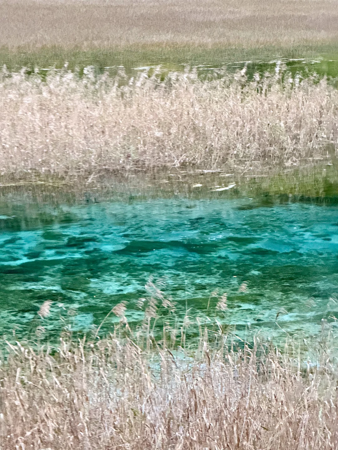 秋天的九寨沟,我想说一万句“ 值得!”