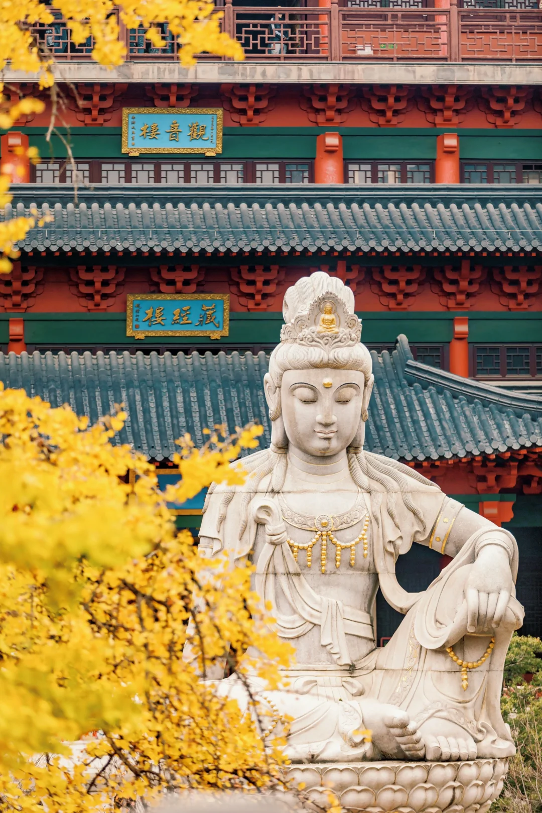 总结南京12个银杏拍照地❗美得不像话❗