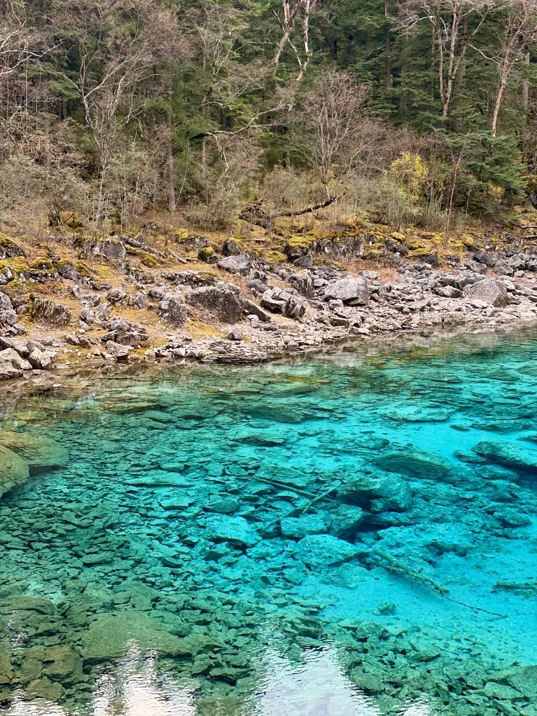 秋天的九寨沟,我想说一万句“ 值得!”
