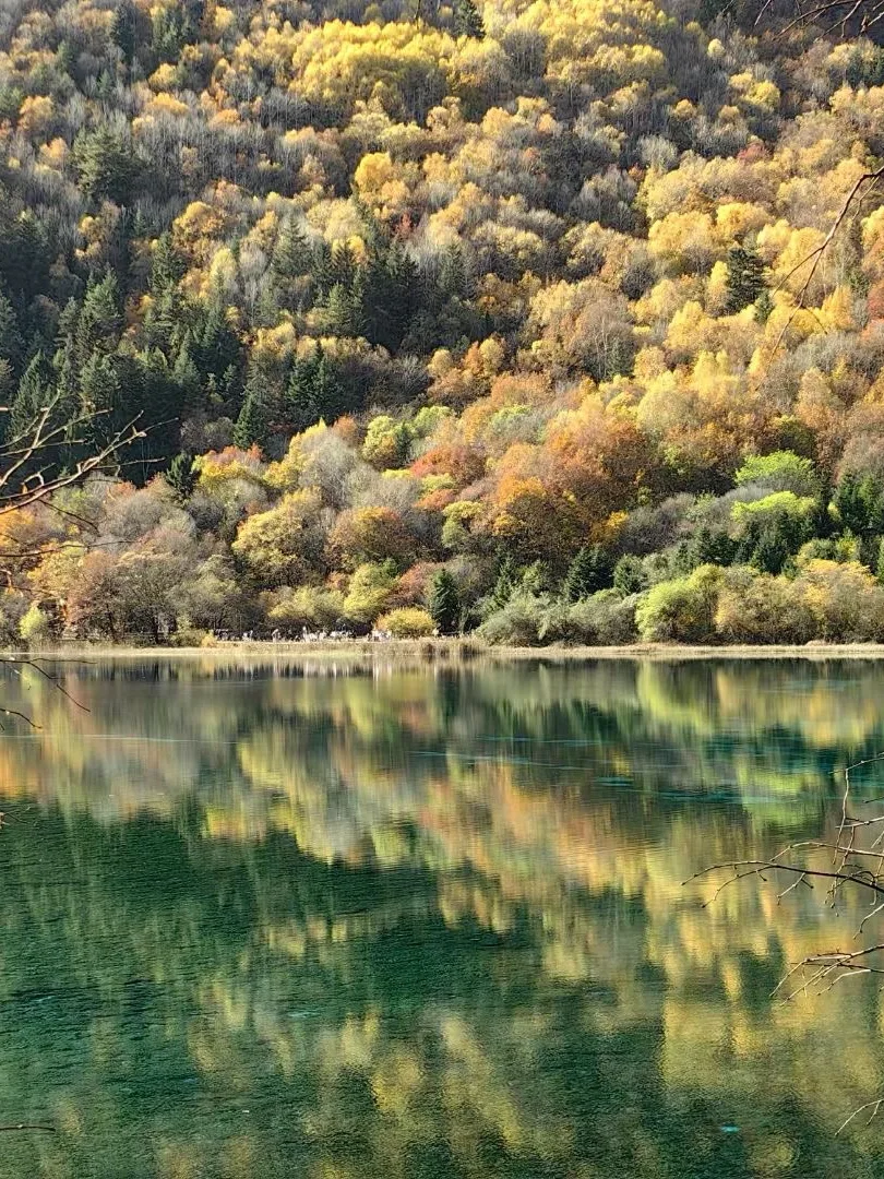 中国地理没有骗我｜秋天的九寨沟美如仙境