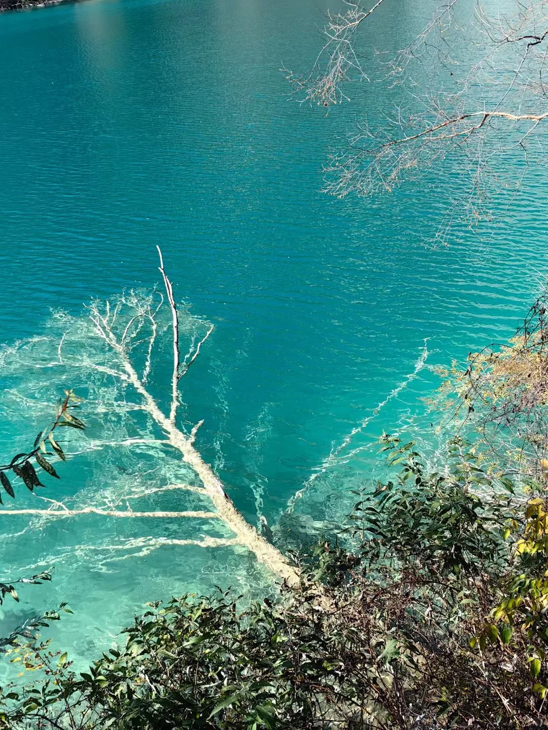 中国地理没有骗我｜秋天的九寨沟美如仙境