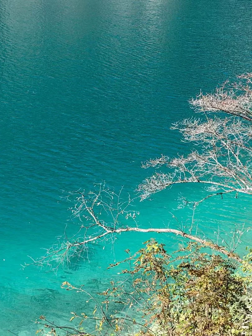 中国地理没有骗我｜秋天的九寨沟美如仙境