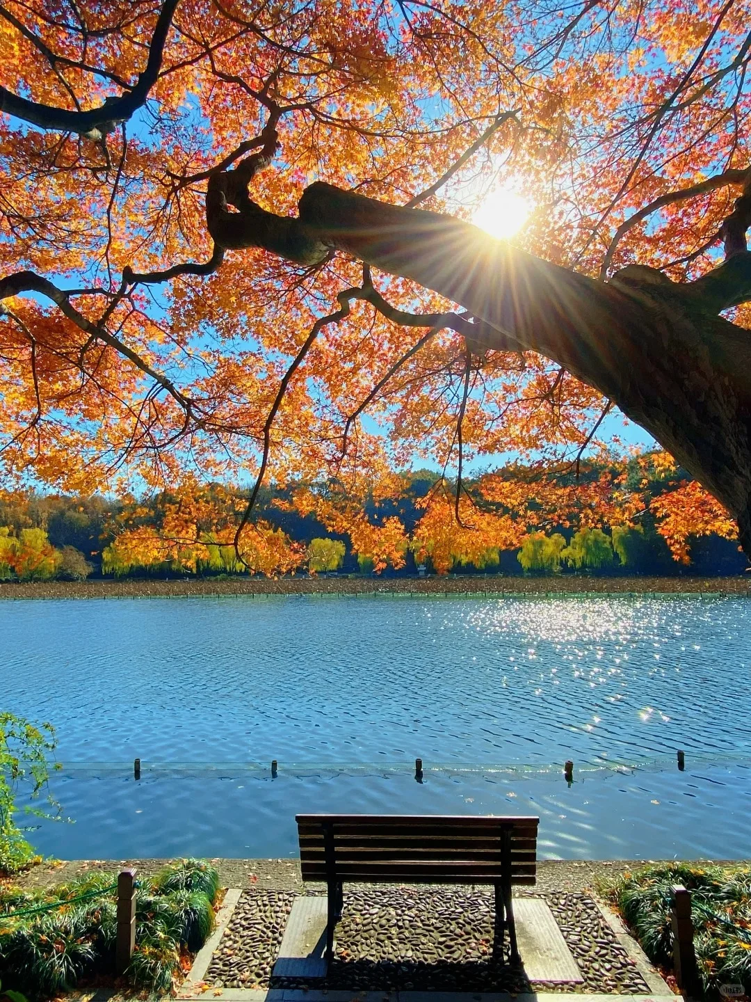 刚从杭州回来(我的建议是)认真看完......