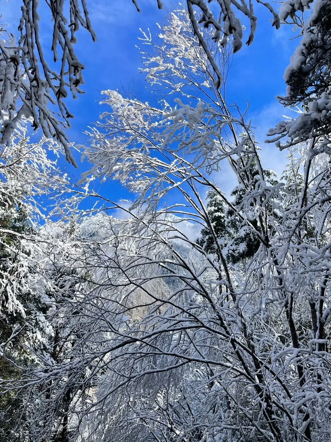 11.6📍九寨沟现状😅,真的劝退不了一点…