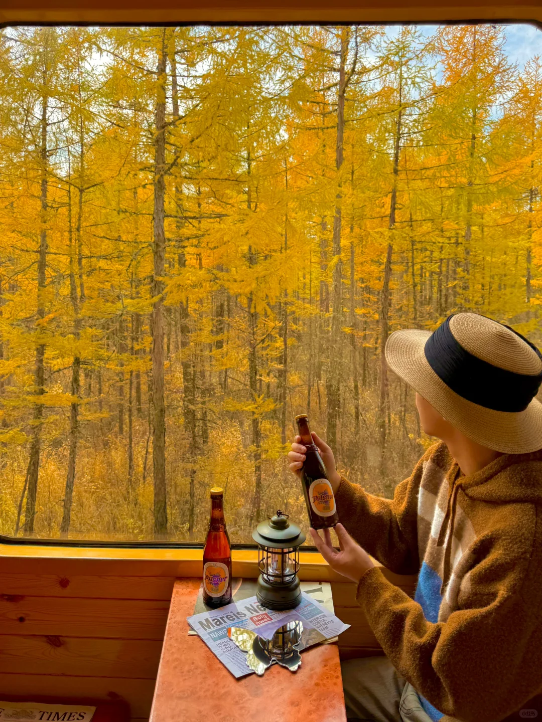 我终于坐上了开往秋天的童话小火车（Live图）