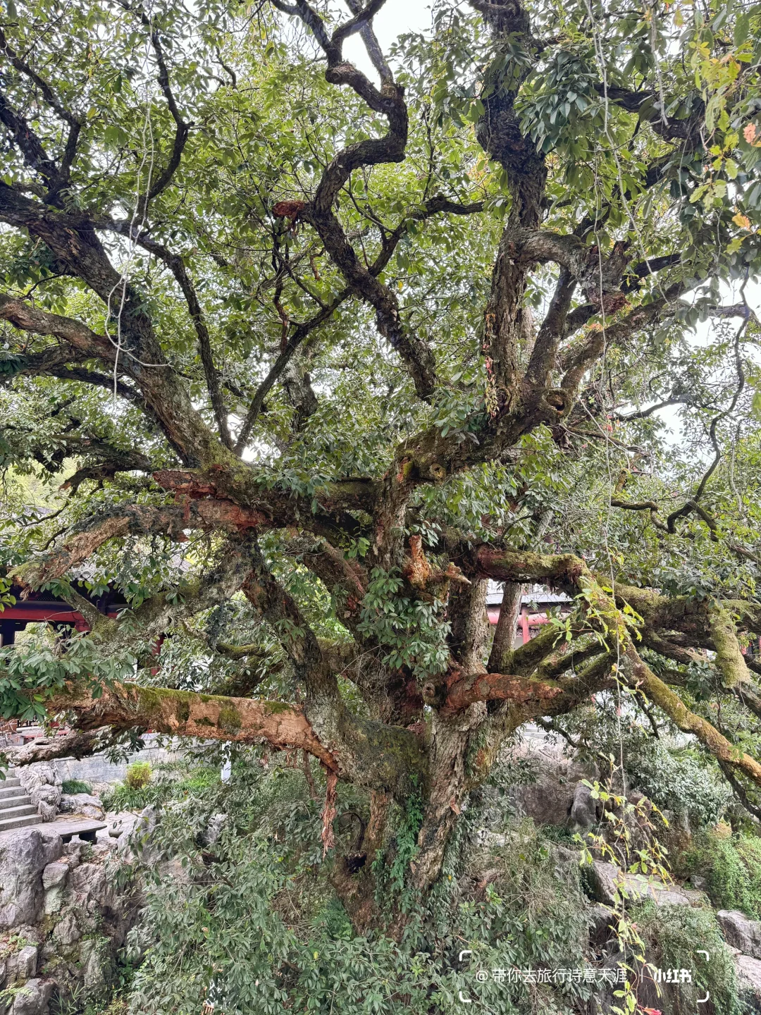 婺源三日游,常规线路之外的新兴网红景区