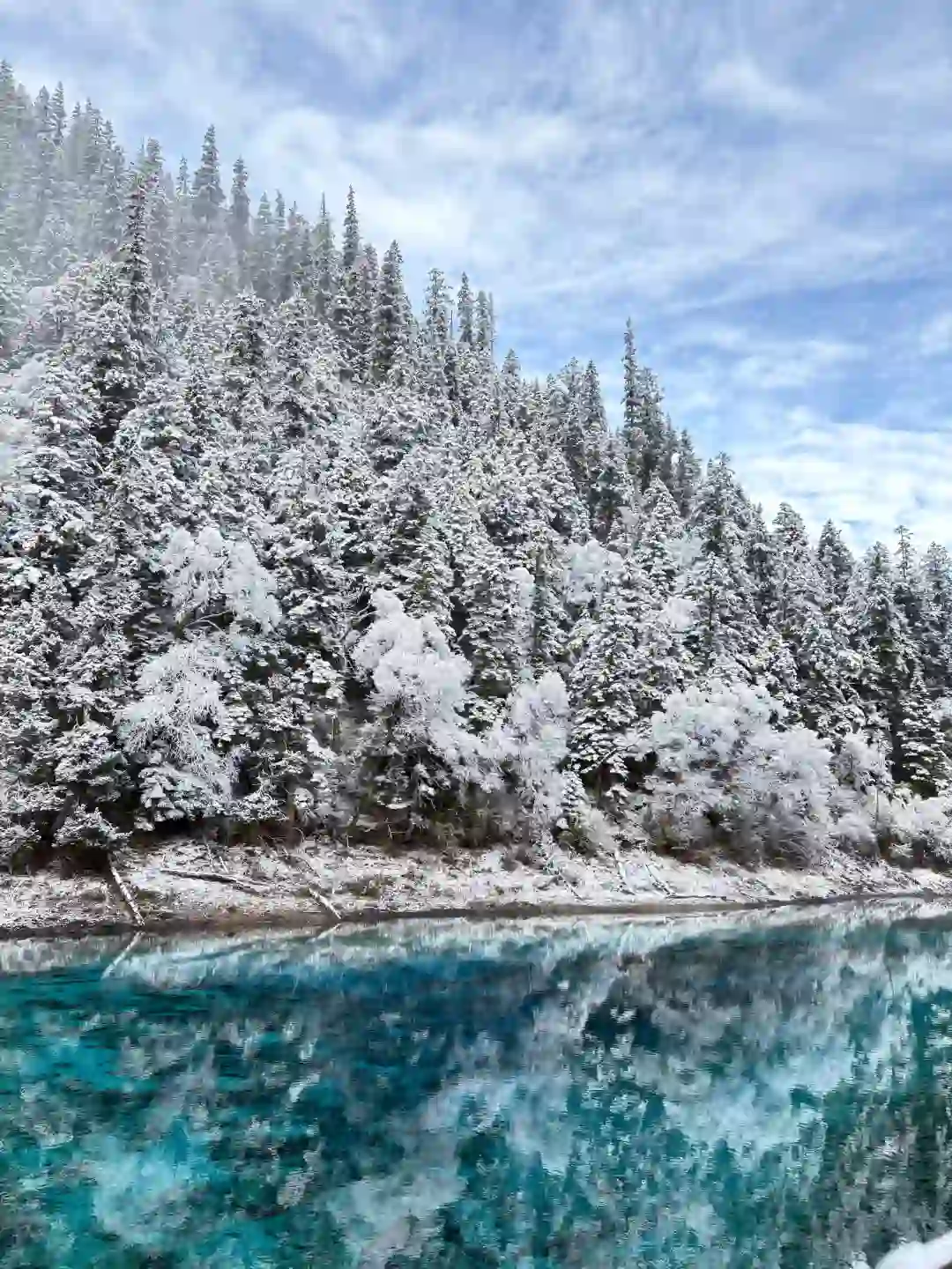 11.6📍九寨沟现状😅,真的劝退不了一点…