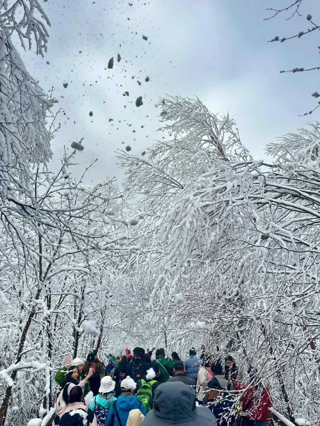 11.6📍九寨沟现状😅,真的劝退不了一点…