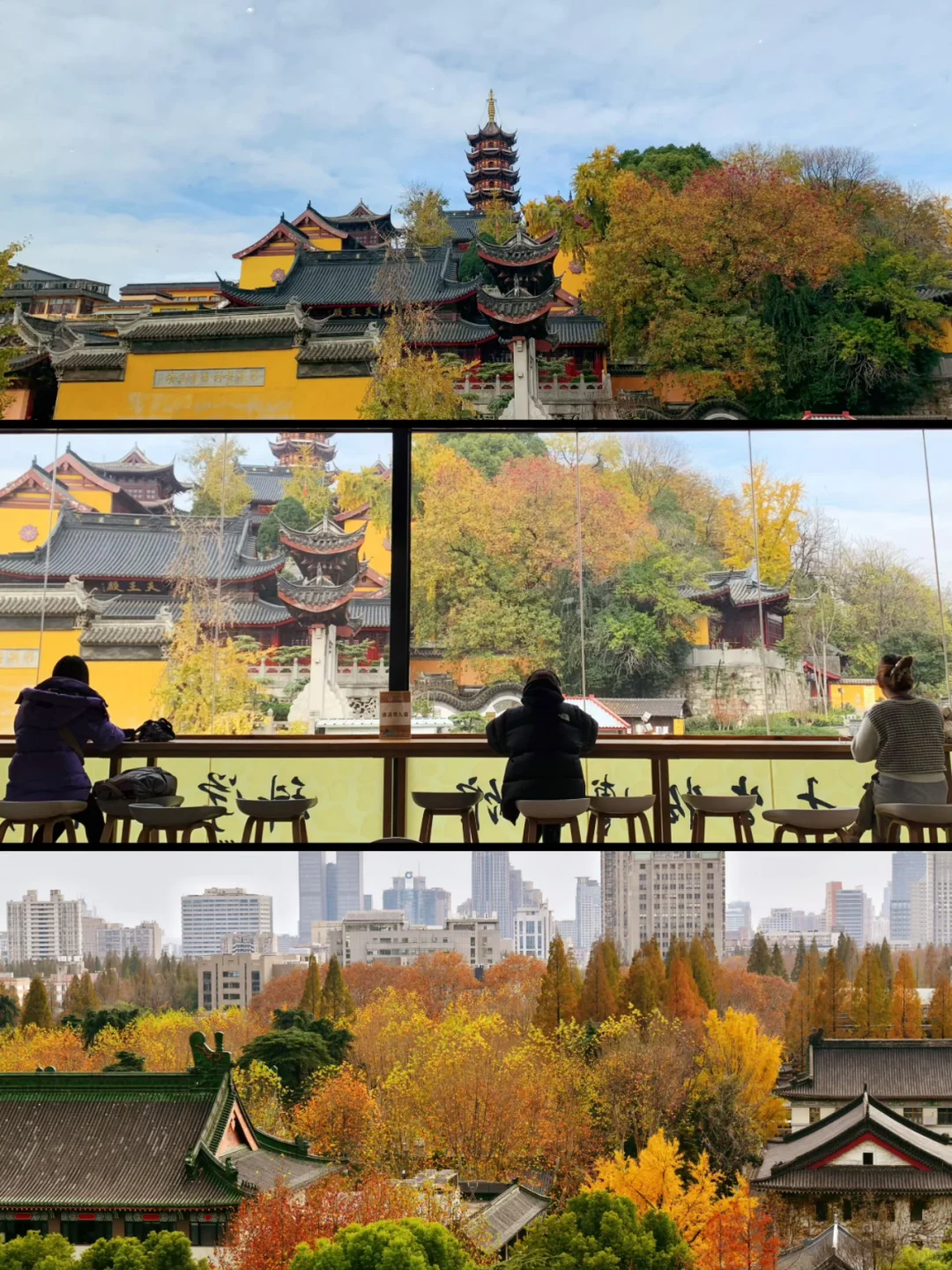 南京|11月底 不容错过的20个银杏机位推荐