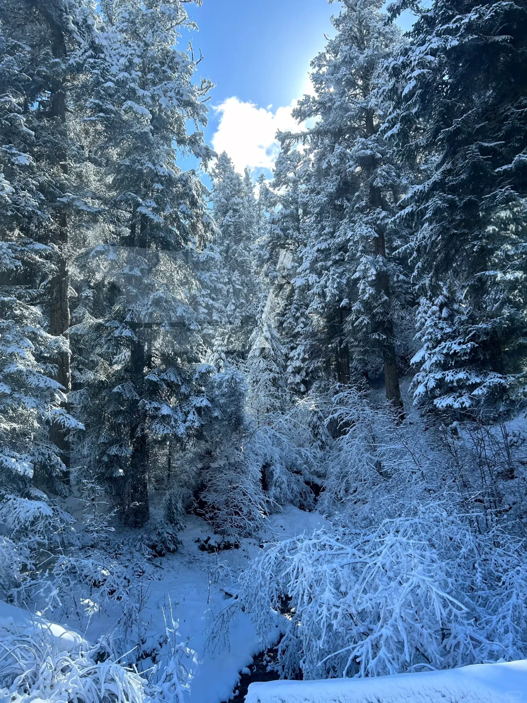 11.6📍九寨沟现状😅,真的劝退不了一点…