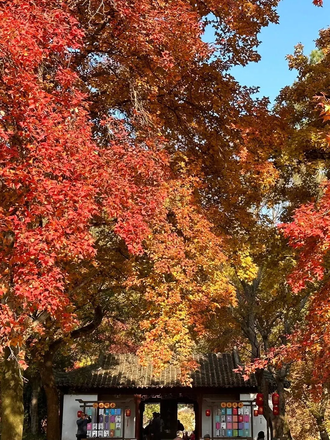 天平山旅游攻略 🍁