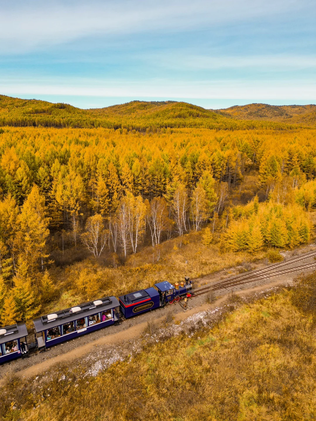 我终于坐上了开往秋天的童话小火车（Live图）