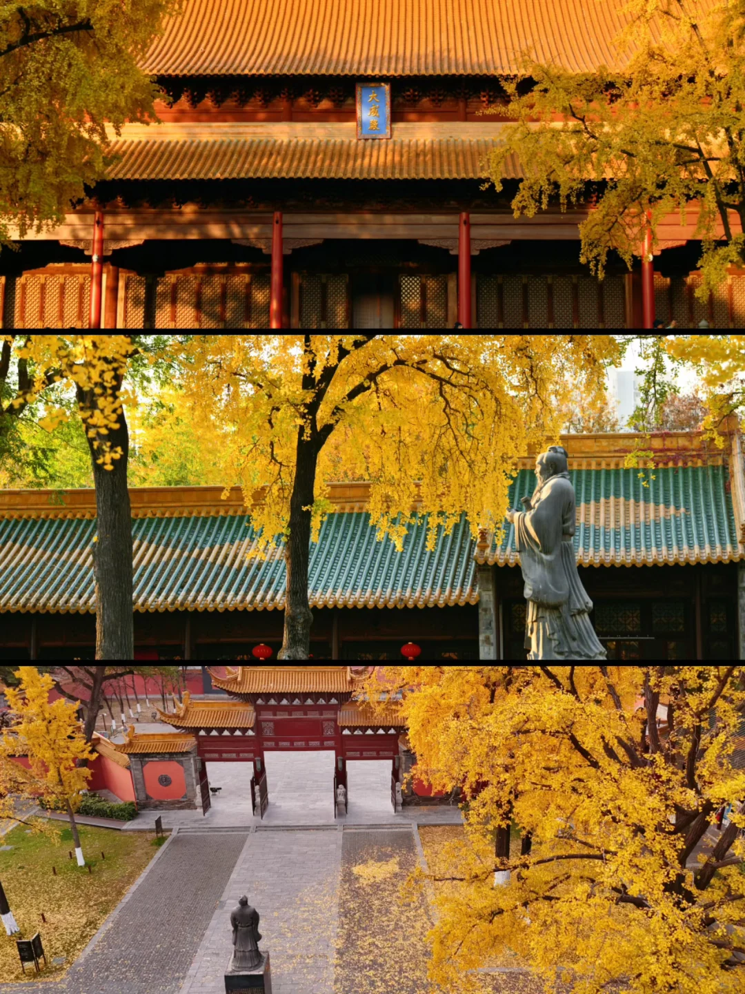 南京|11月底 不容错过的20个银杏机位推荐