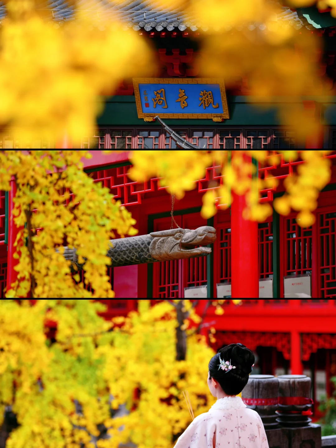 南京|11月底 不容错过的20个银杏机位推荐