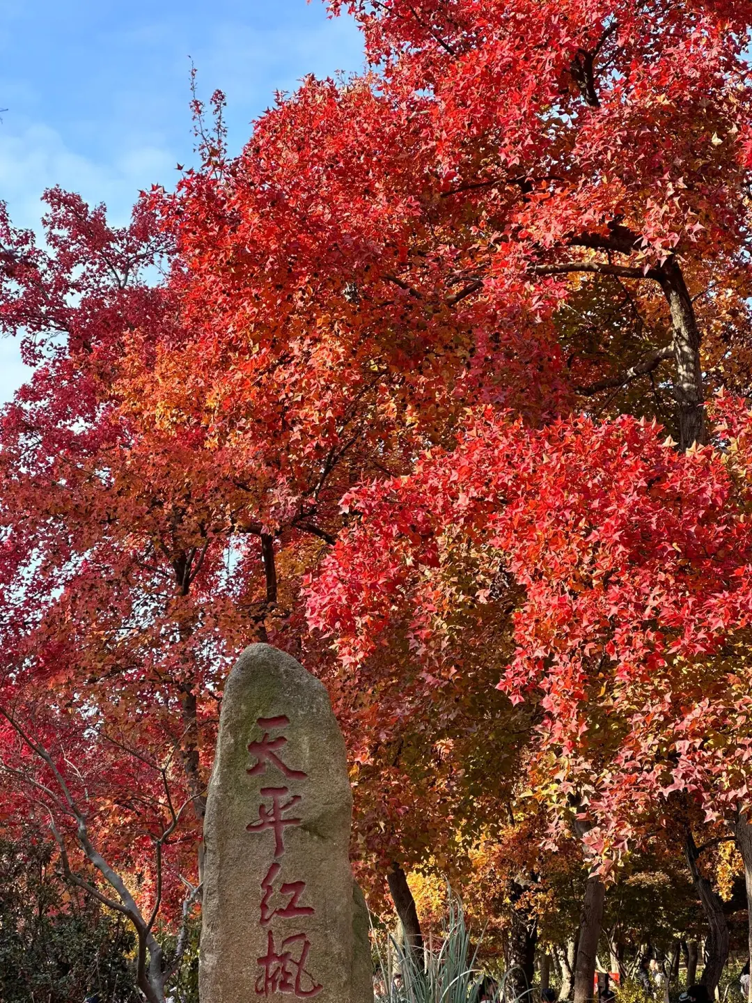 天平山旅游攻略 🍁