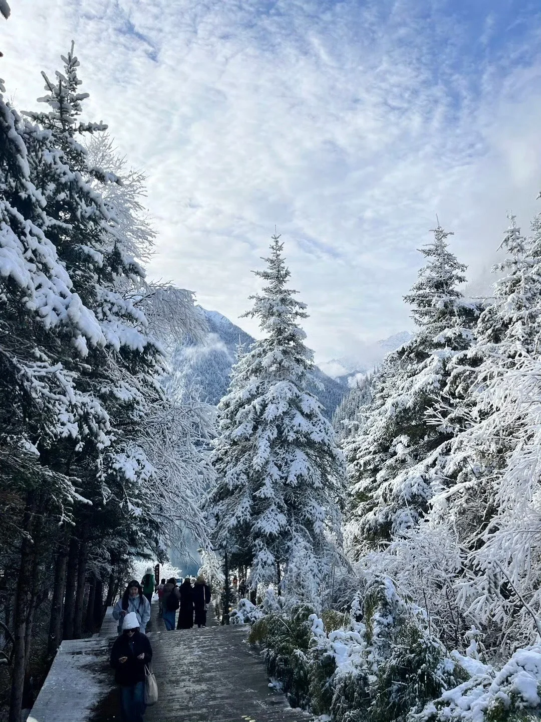 11.6📍九寨沟现状😅,真的劝退不了一点…