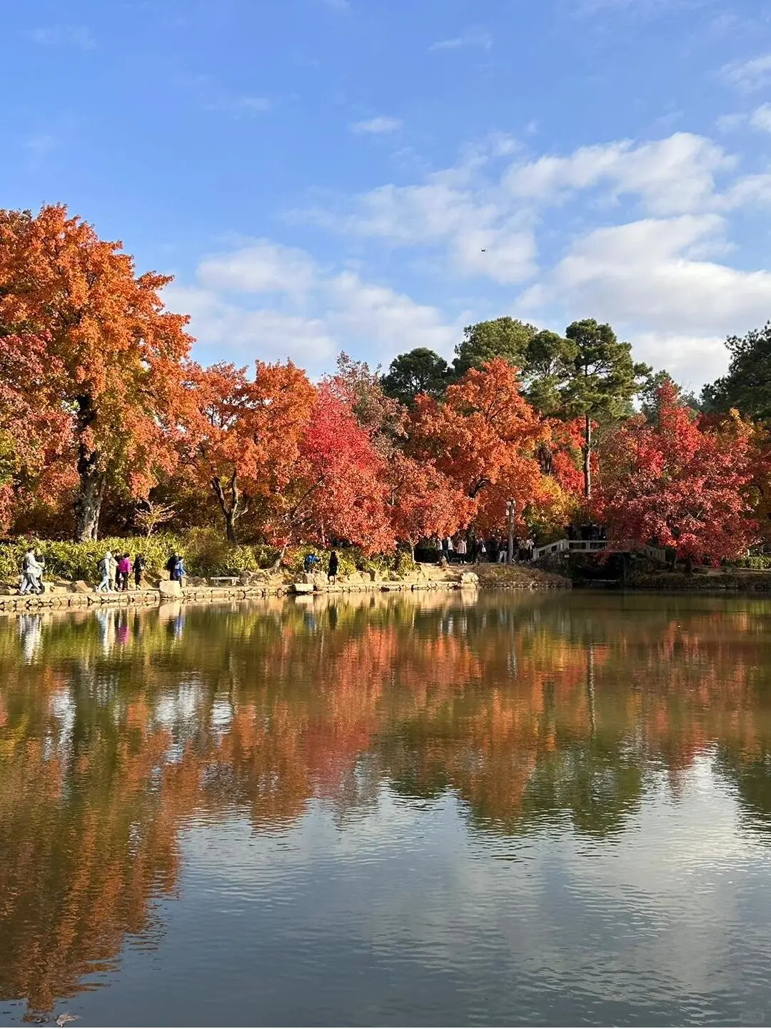 天平山旅游攻略 🍁