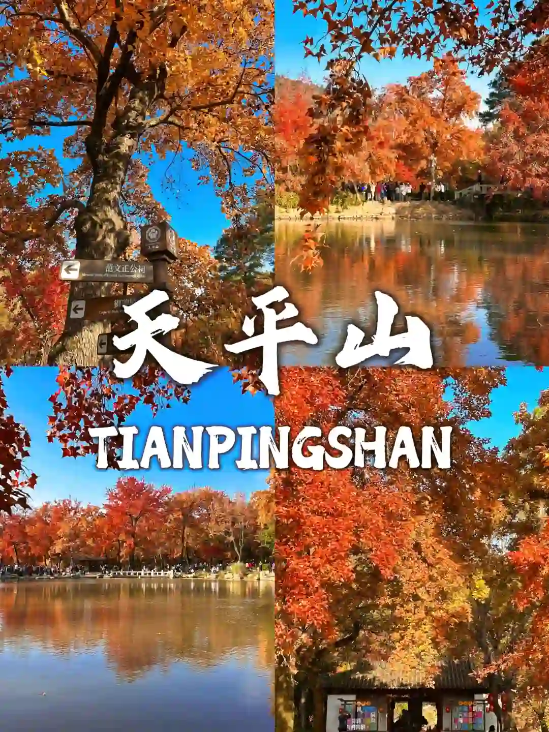 天平山旅游攻略 🍁