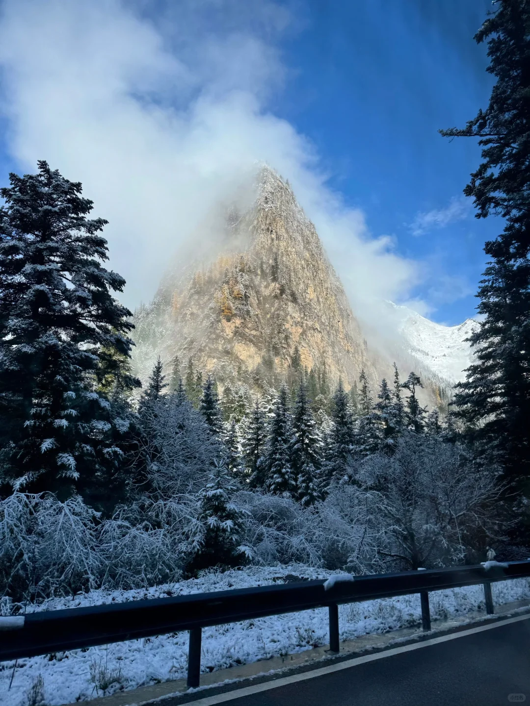 11.6📍九寨沟现状😅,真的劝退不了一点…