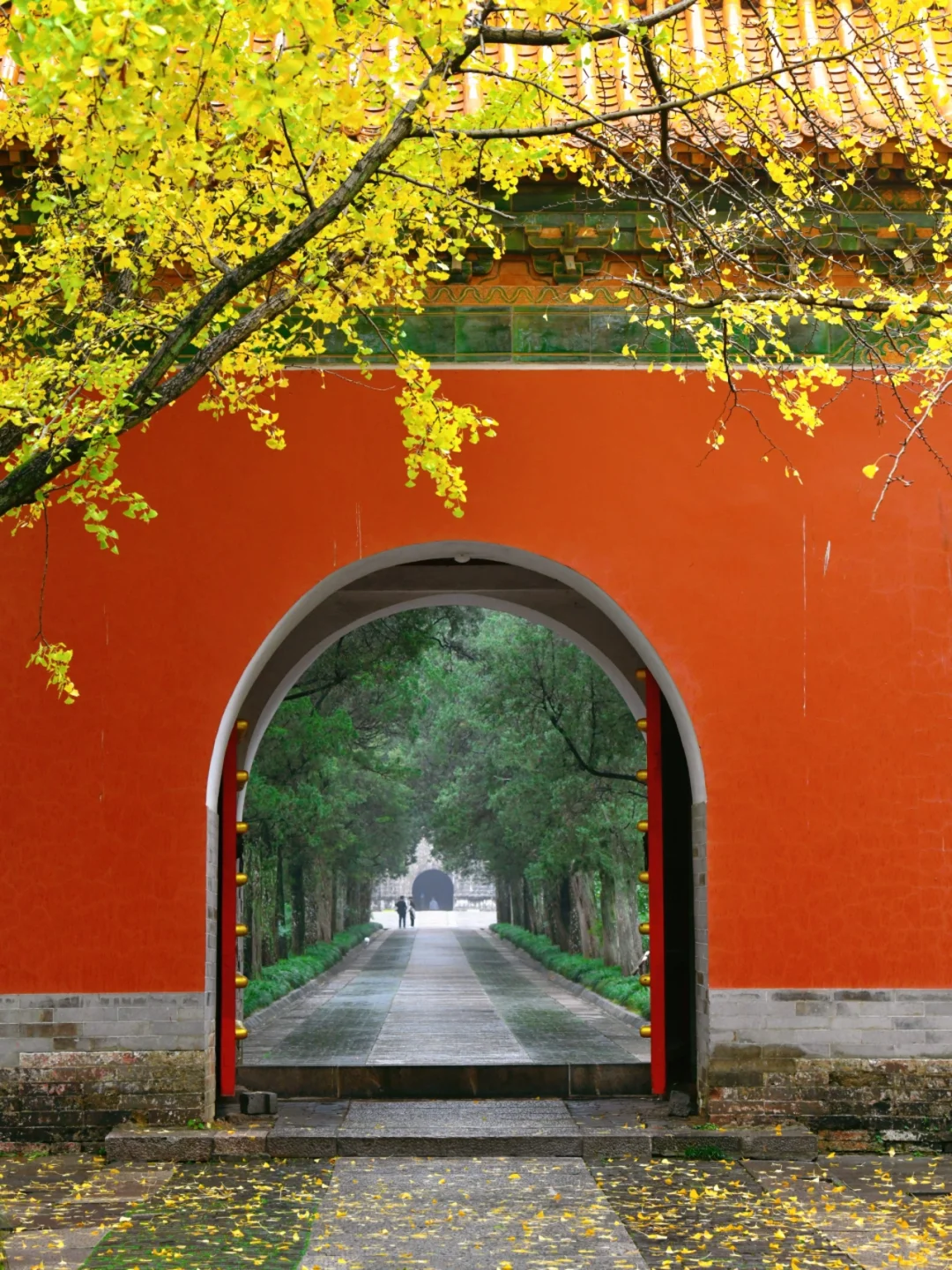 南京|11月底 不容错过的20个银杏机位推荐