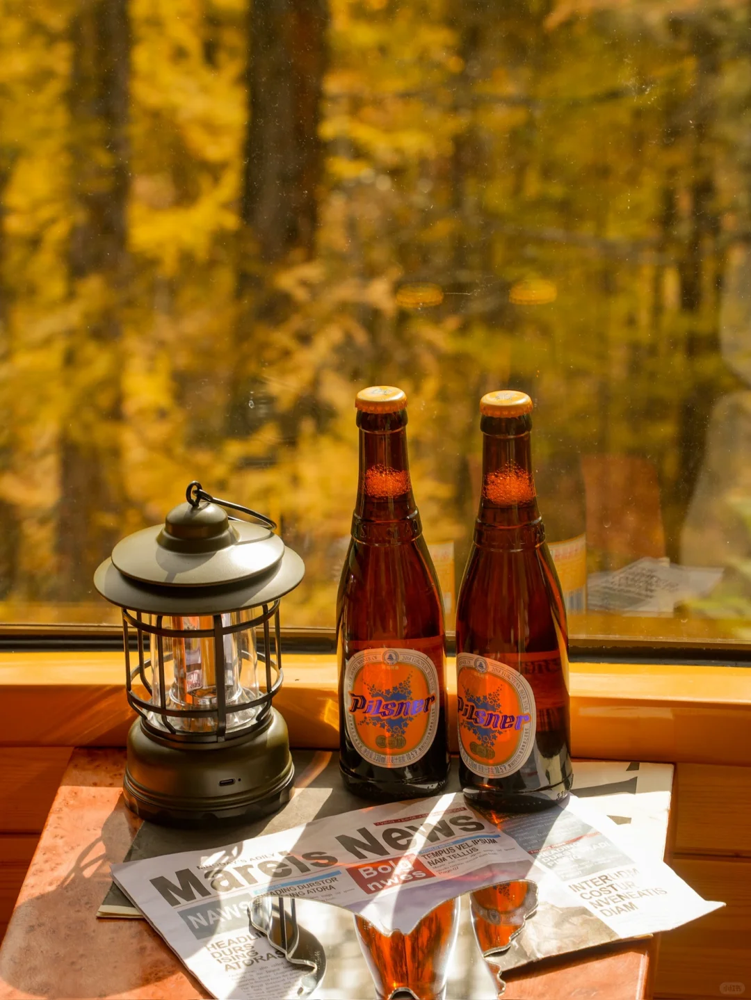 我终于坐上了开往秋天的童话小火车（Live图）