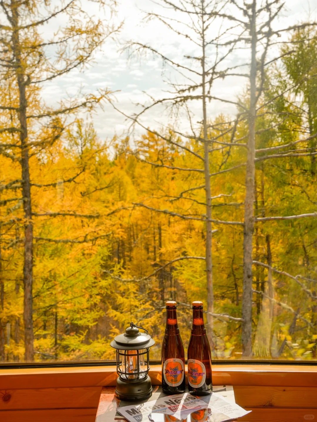 我终于坐上了开往秋天的童话小火车（Live图）