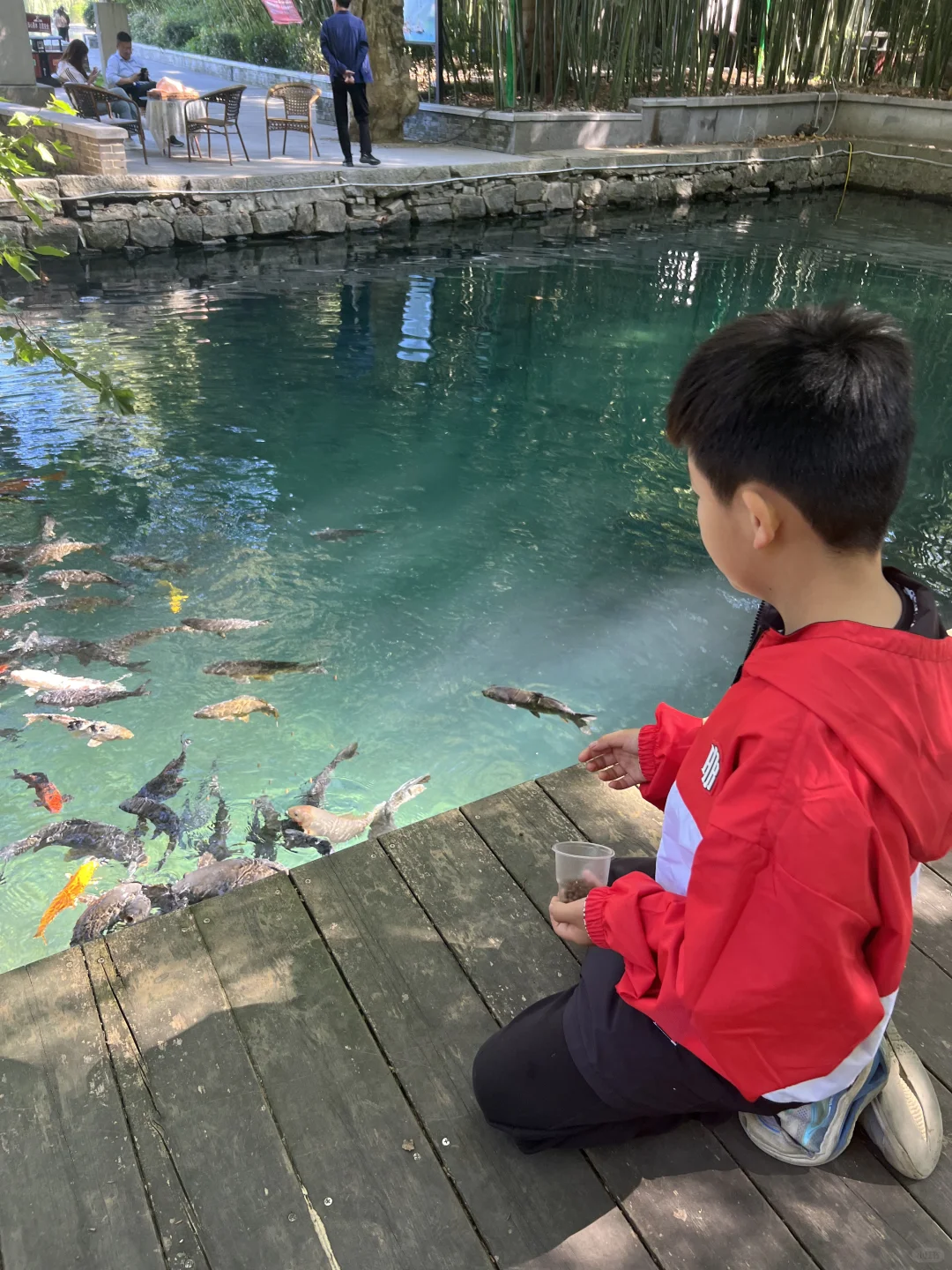 一张图看懂临朐怎么玩|临朐最全攻略