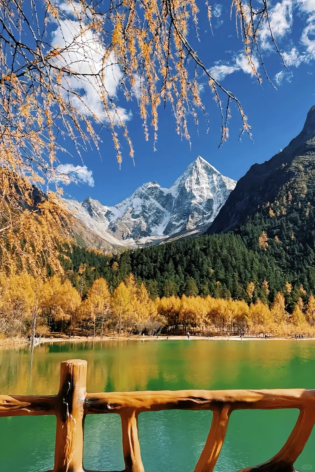 成都周边2.5h‼️你可以永远相信毕棚沟的秋天